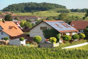 A rural setting with a house named 'Patricia's Haus' featuring solar panels, surrounded by vineyards and a hilly landscape. - Patricias House; Apartment Henkenberg (Vogtsburg)