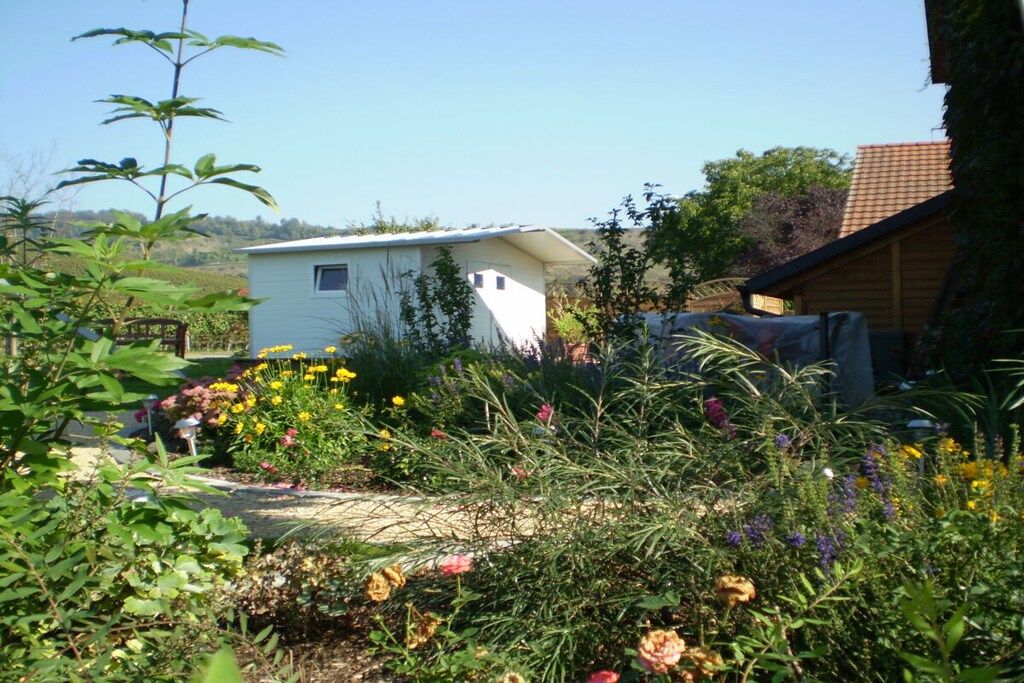 A residential area with a small white house, a garden with various plants and flowers, and a wooden structure in the background.