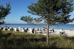 Ein Strand mit Liegestühlen und einem Baum im Vordergrund.