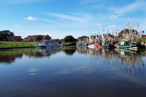 Unclassified image, 2 of 19, button - Canal Jewel 1||Krummhörn Greetsiel (Krummhörn Greetsiel)