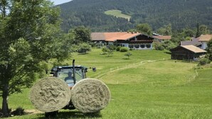 Property grounds - Farmhouse with 1 bedroom (Inzell, Deutschland)
