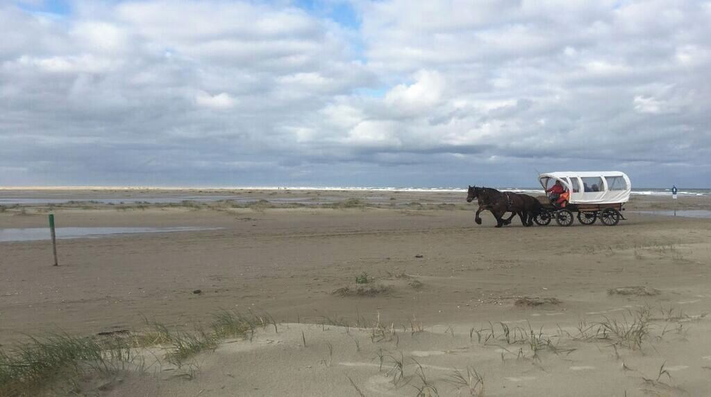 Eine Kutsche zieht über einen sandigen Strand, bewölkter Himmel.