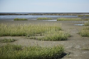 Een strand met een houten pier die zich uitstrekt over het water, omringd door grasvelden.