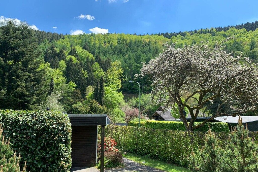 Un jardin avec un sentier menant à un bâtiment, entouré d’une forêt dense et sous un ciel dégagé.