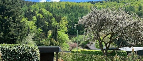 Un jardin avec un sentier menant à un bâtiment, entouré d’une forêt dense et sous un ciel dégagé.