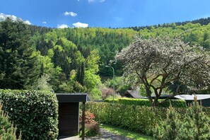 A garden with a pathway leading to a building, surrounded by dense forest and a clear sky. - Holiday home with 1 bedroom (Simmerath)