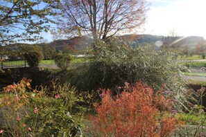 Ein Garten mit verschiedenen Pflanzen und einem Baum.