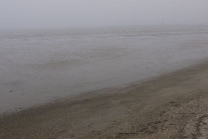 Ein Strand mit feuchtem Sand und dichziger Atmosphäre.