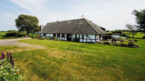 A traditional half-timbered house with a sloped roof, surrounded by a well-maintained lawn and a large tree. - Nydamsgaard "hus mælkebøtte" (Faaborg \/ Bojden)