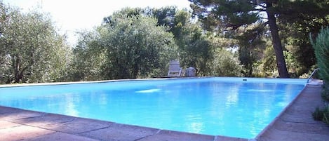 A rectangular swimming pool with a clear blue surface, surrounded by a stone border.