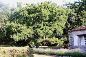 Un bâtiment en pierre, doté d’un toit en tuiles, entouré d’un jardin où poussent de la lavande et d’autres plantes.