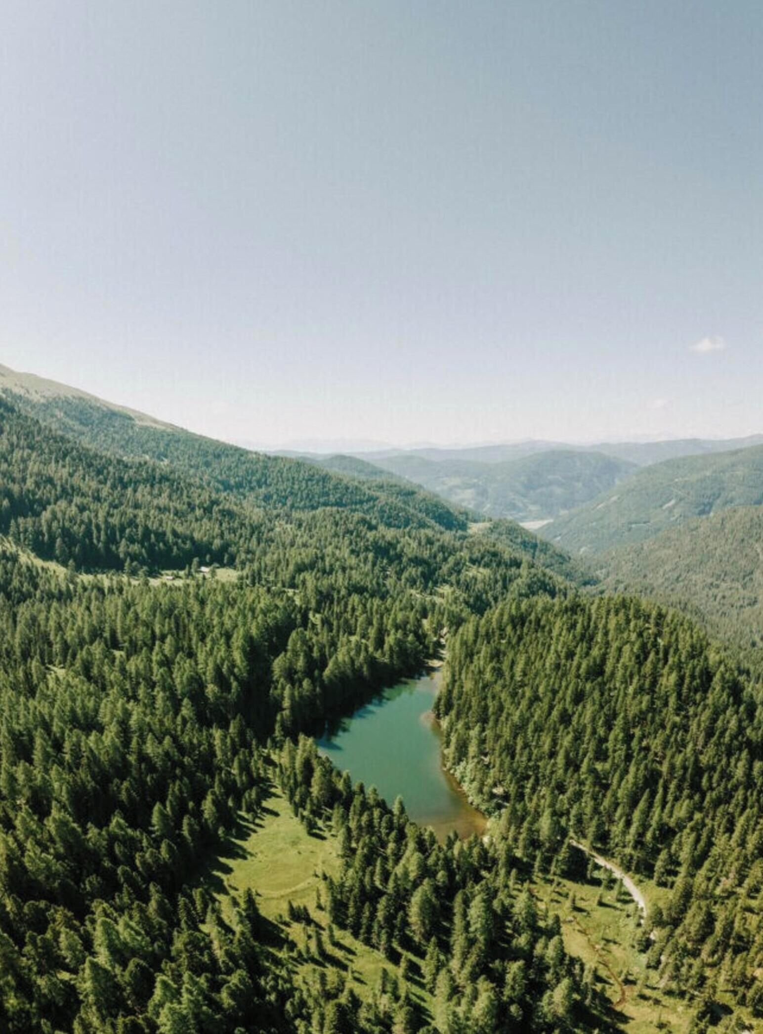Een bergachtig landschap met een rivier die door dichte bossen kronkelt.