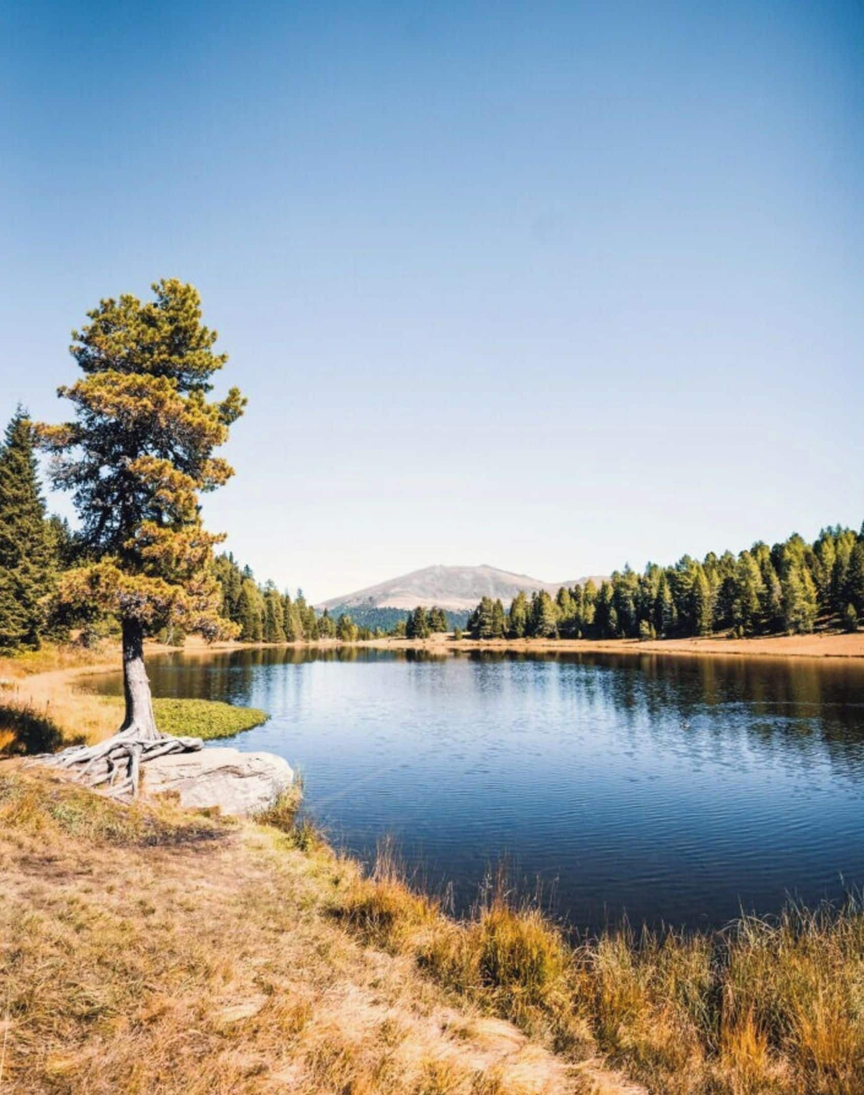 A calm lake with a clear sky, surrounded by trees and a mountain in the distance.