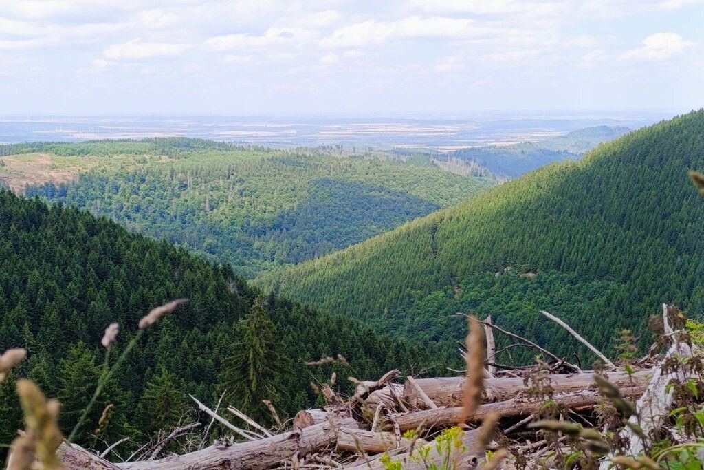 Un paysage montagneux caractérisé par une végétation forestière dense et offrant une vue sur des infrastructures situées au loin.