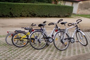 A row of bicycles parked on a paved surface. - Holiday home with 1 bedroom (Boltenhagen OT Redewisch)