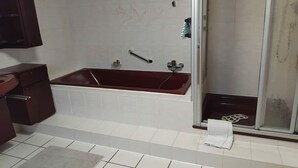 A bathroom with a bathtub, a shower, and a toilet. - ||------------------------House-in-the-curve------------------|| (Halle-Dohnsen)