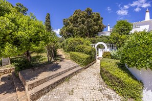 A cobblestone pathway leading to a white building with a dome and a minaret, surrounded by lush greenery and trees.