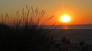 Un coucher de soleil sur une plage, avec de l’herbe au premier plan et quelques chaises visibles.