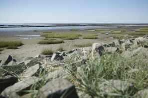 Een kustlandschap met een zandstrand, stukken gras en een rotsachtige voorgrond.