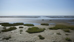 A beach with visible sand and patches of grass. - Holiday apartment in Büsum with swimming pool (Büsum)