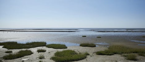 A beach with visible sand and patches of grass.