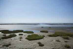 A beach with visible sand and patches of grass. - Holiday apartment in Büsum with swimming pool (Büsum)