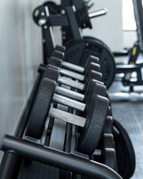 A row of adjustable dumbbells on a rack in a gym.