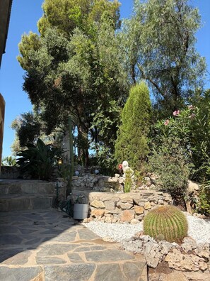Un jardin où l’on trouve une variété de plantes, un cactus et un mur de pierre.