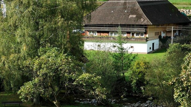 Un tradizionale chalet con tetto spiovente, immerso nel verde e circondato da un muro in pietra.