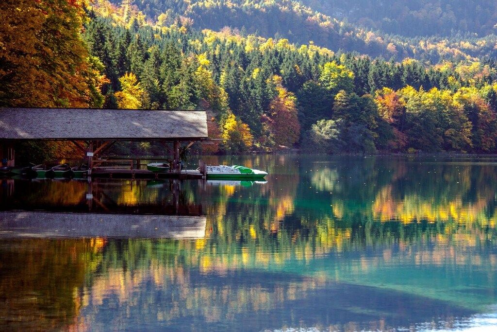 A tranquil lake with a wooden dock and a cabin.