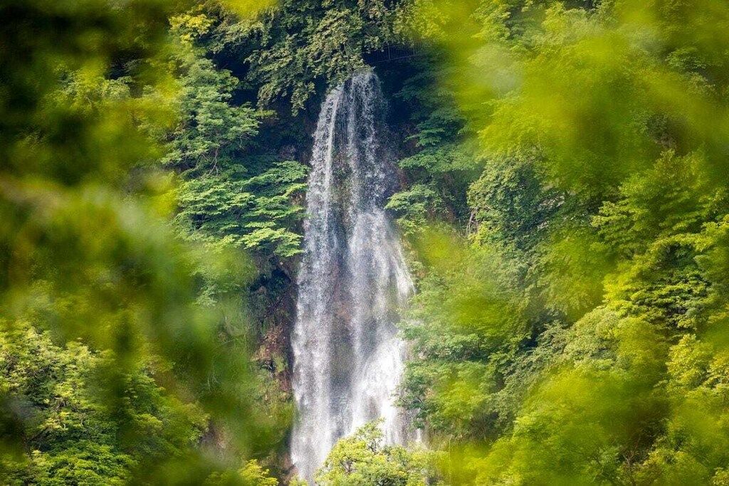 Una cascada envoltada d'una vegetació verda abundant.