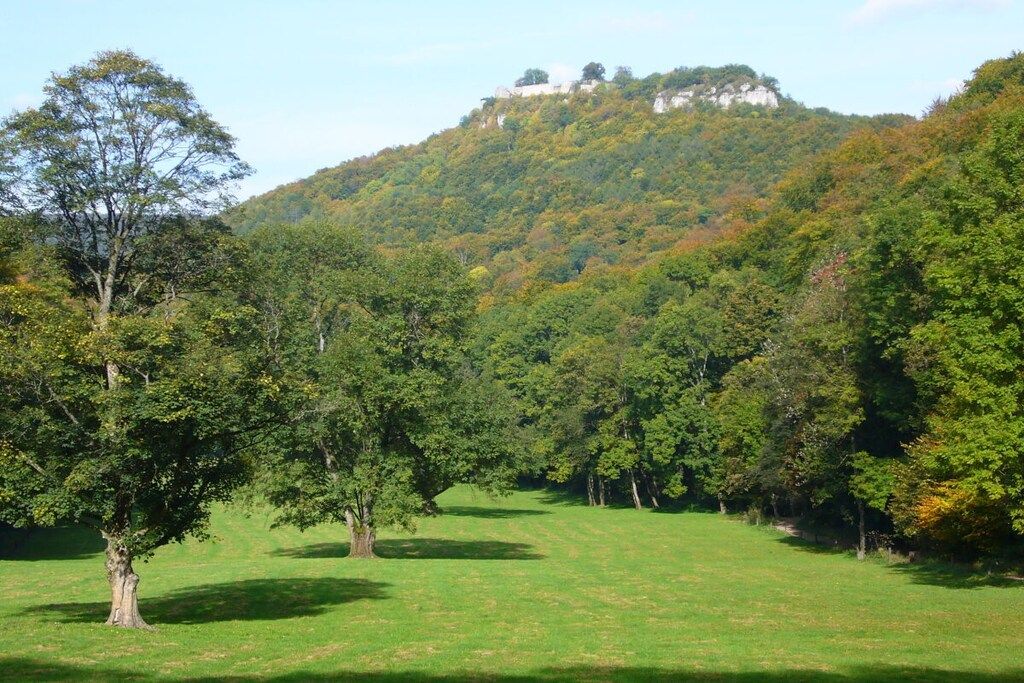 Een grasveld met bomen en een heuvel waarop een gebouw staat.