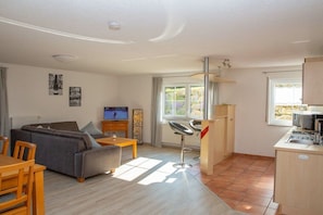 Ein modernes Wohnzimmer mit Sofa, Esstisch und Küchenzeile inklusive Spüle und Schränken.