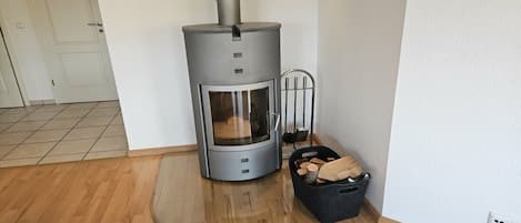 En moderne, kompakt brændeovn med glasdør, placeret i et hjørne af et rum med trægulv.