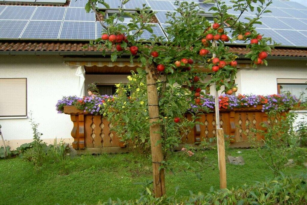 A residential property with a garden, a solar panel array, and a wooden fence.