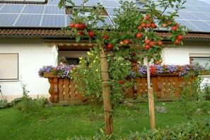A residential property with a garden, a solar panel array, and a wooden fence. - Holiday apartment with 1 bedroom (Bodolz)