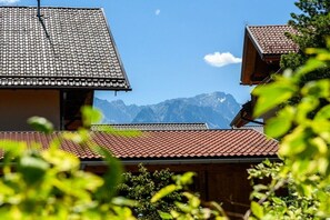Bergzicht met een gebouw, herkenbaar aan het pannendak en houten constructie.
