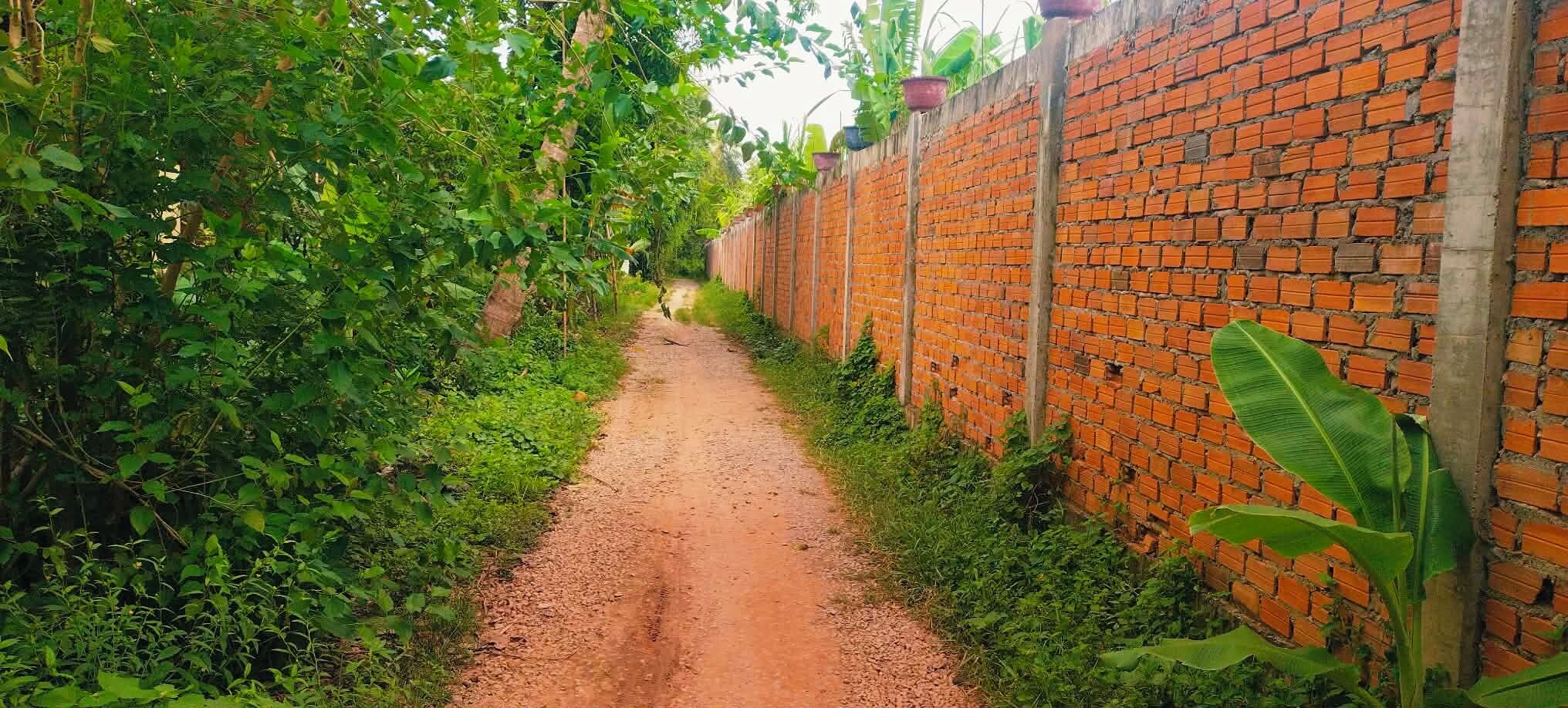 Un étroit sentier de terre bordé d’une végétation luxuriante et d’un mur de briques.