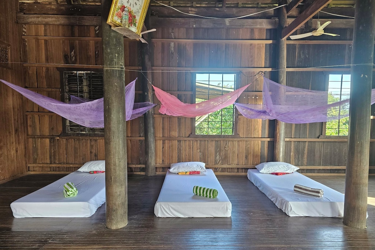 A room with three single beds, wooden walls, and a large window.