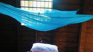 A room with a bed, a hammock, and a standing fan.