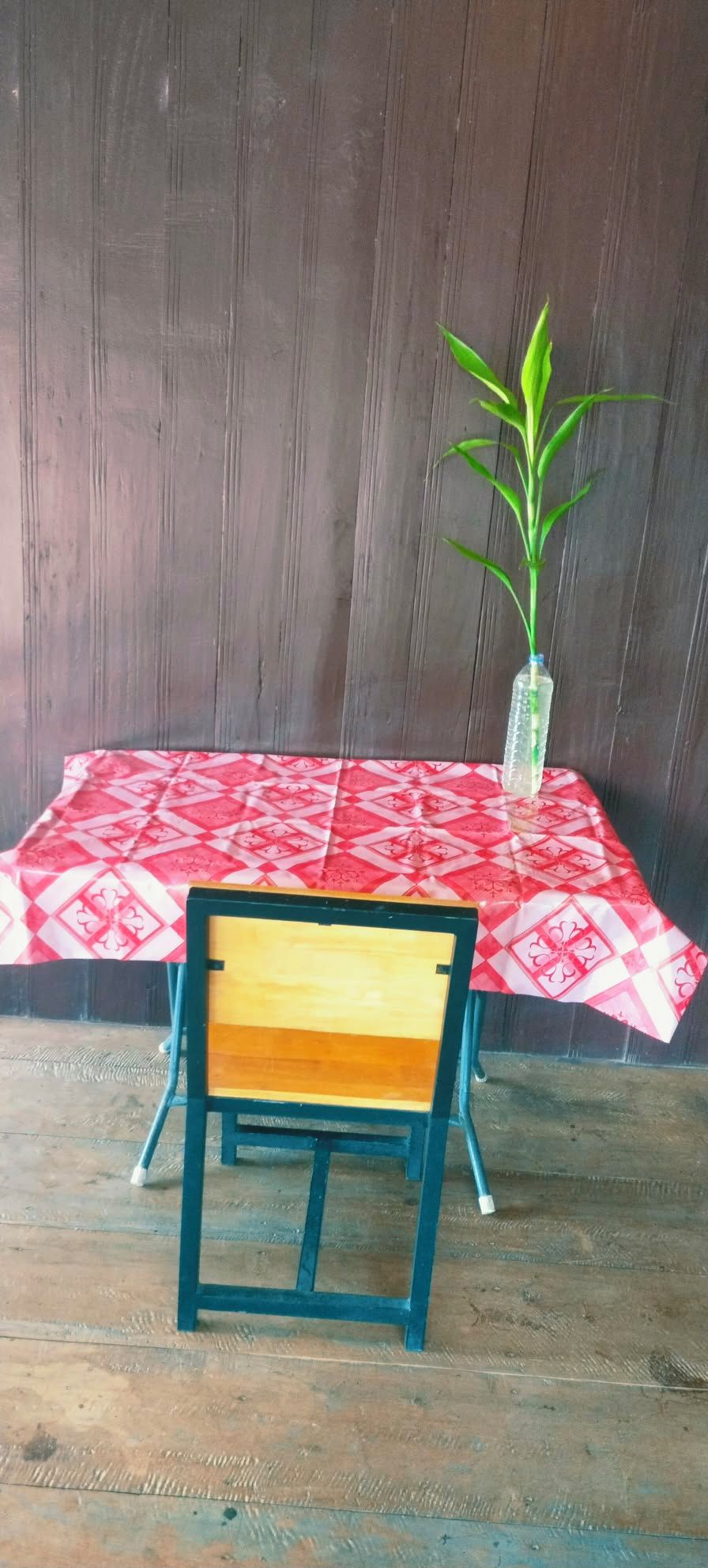 A small table with a red and white patterned tablecloth, a chair with a wooden backrest, and a potted plant in a clear bottle.