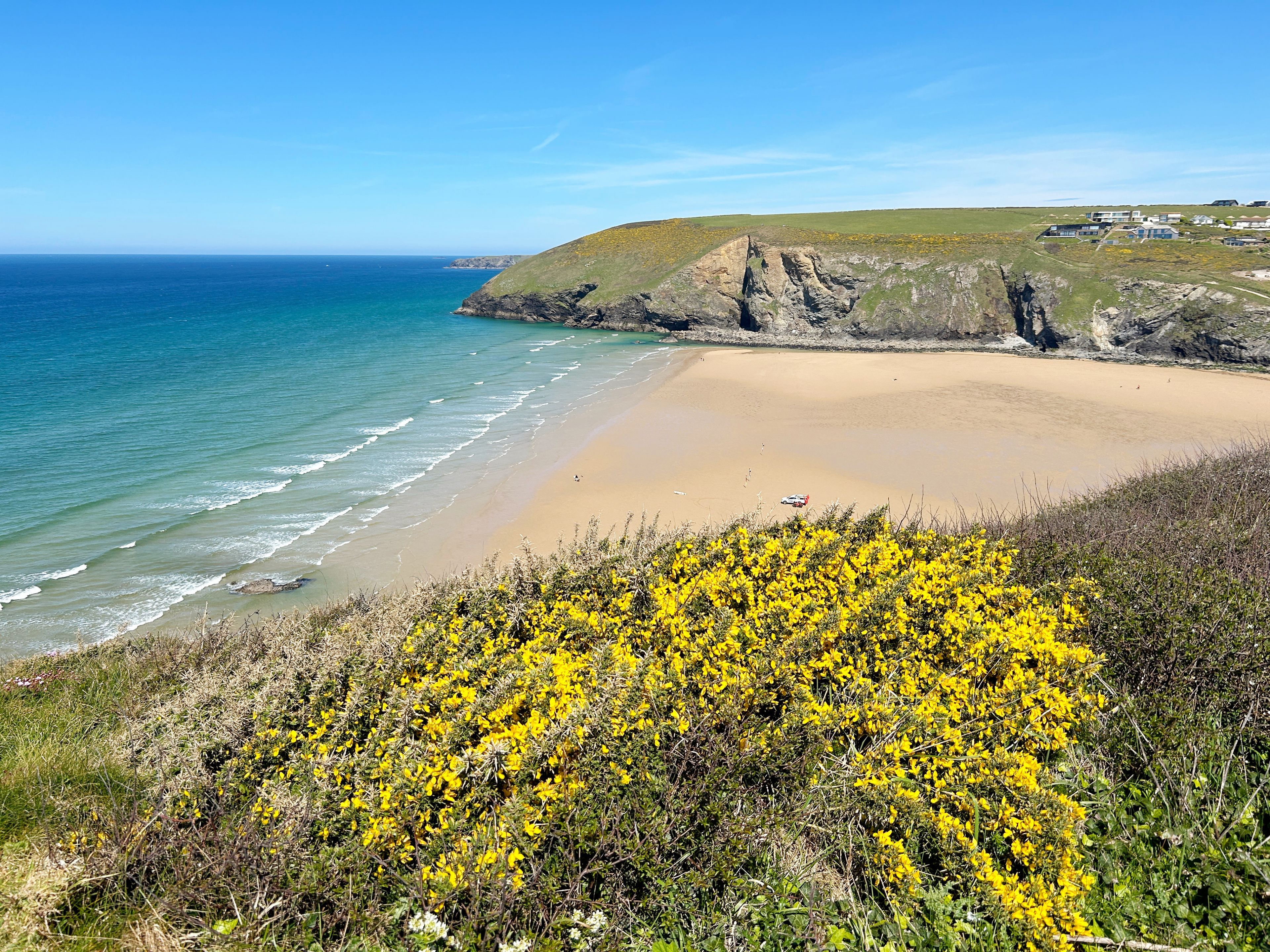 A coastal landscape with a sandy beach, a rocky cliff, and yellow flowering shrubs in the foreground.