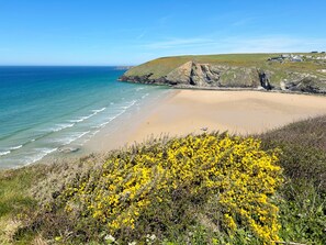 A coastal landscape with a sandy beach, a rocky cliff, and yellow flowering shrubs in the foreground. - Countryside Cottage - 15 mins walk to Mawgan Porth Beach (Mawgan Porth)