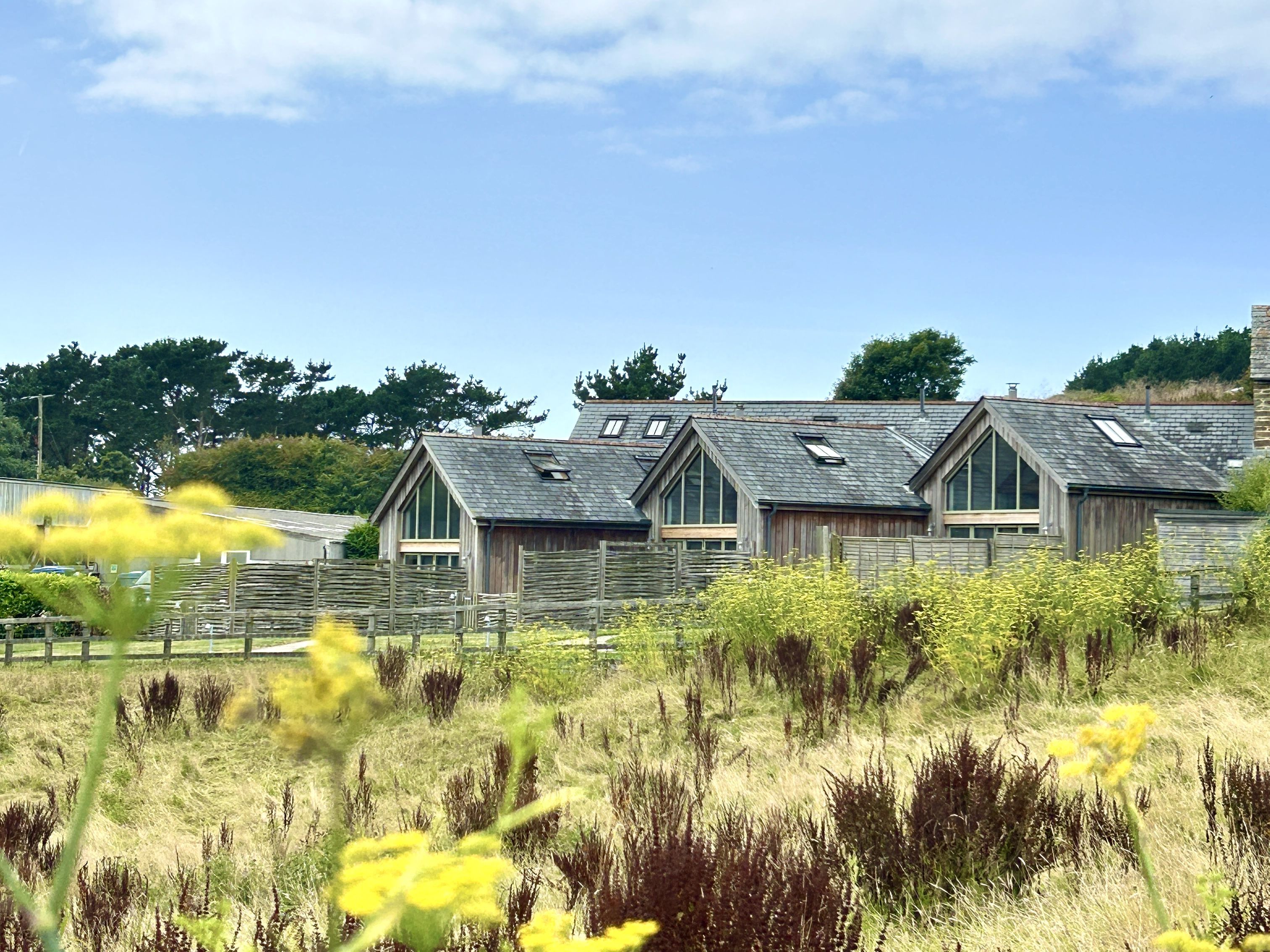 A row of wooden buildings with pitched roofs and large windows, surrounded by a grassy field and trees.