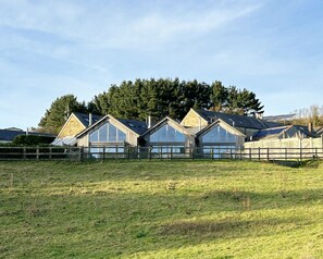Una hilera de cabañas de madera con ventanas amplias, ubicadas en un campo cubierto de hierba con un bosque al fondo.