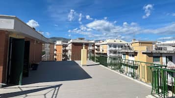 Une terrasse sur le toit, avec un ciel dégagé, une allée pavée et une rambarde en métal vert.