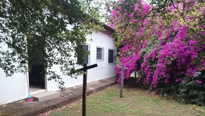 Un edificio blanco con entrada pavimentada y un árbol de flores rosadas.