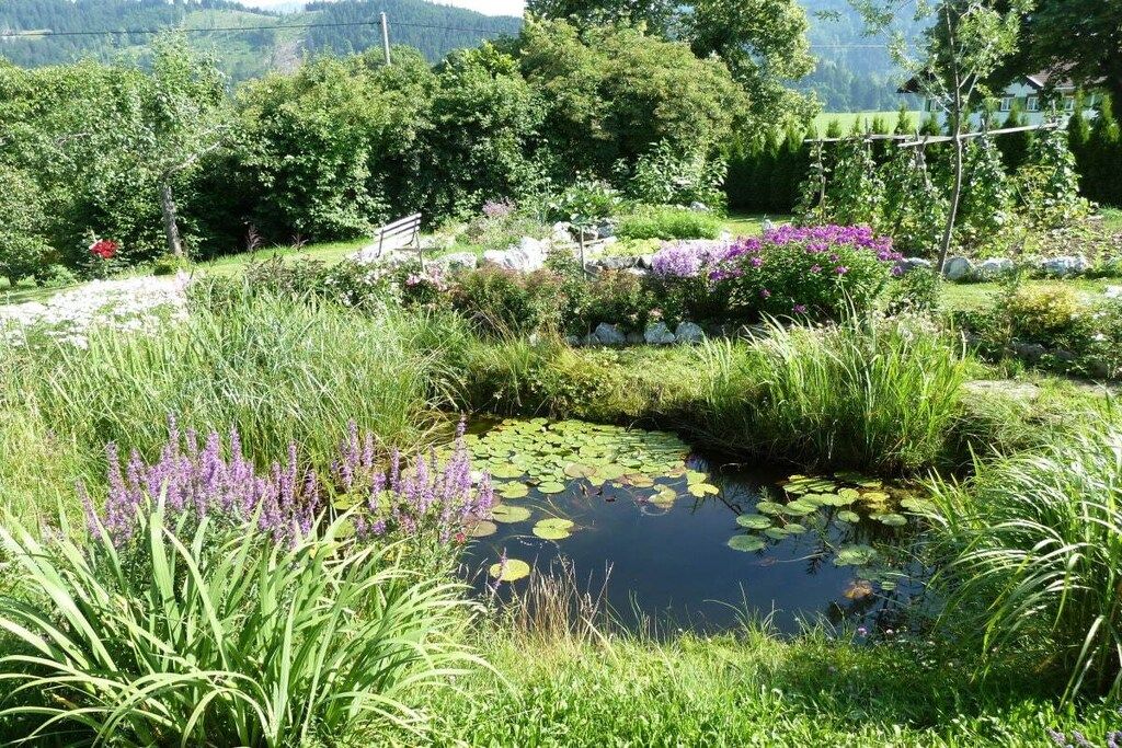 A garden with a pond, various plants, and a wooden bench.