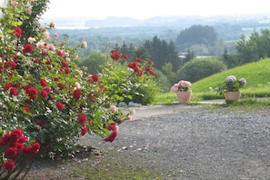 A gravel path leading through a garden with red and pink flowers, surrounded by green hills. - Nostalgia at the Striegl guesthouse (Wertach)