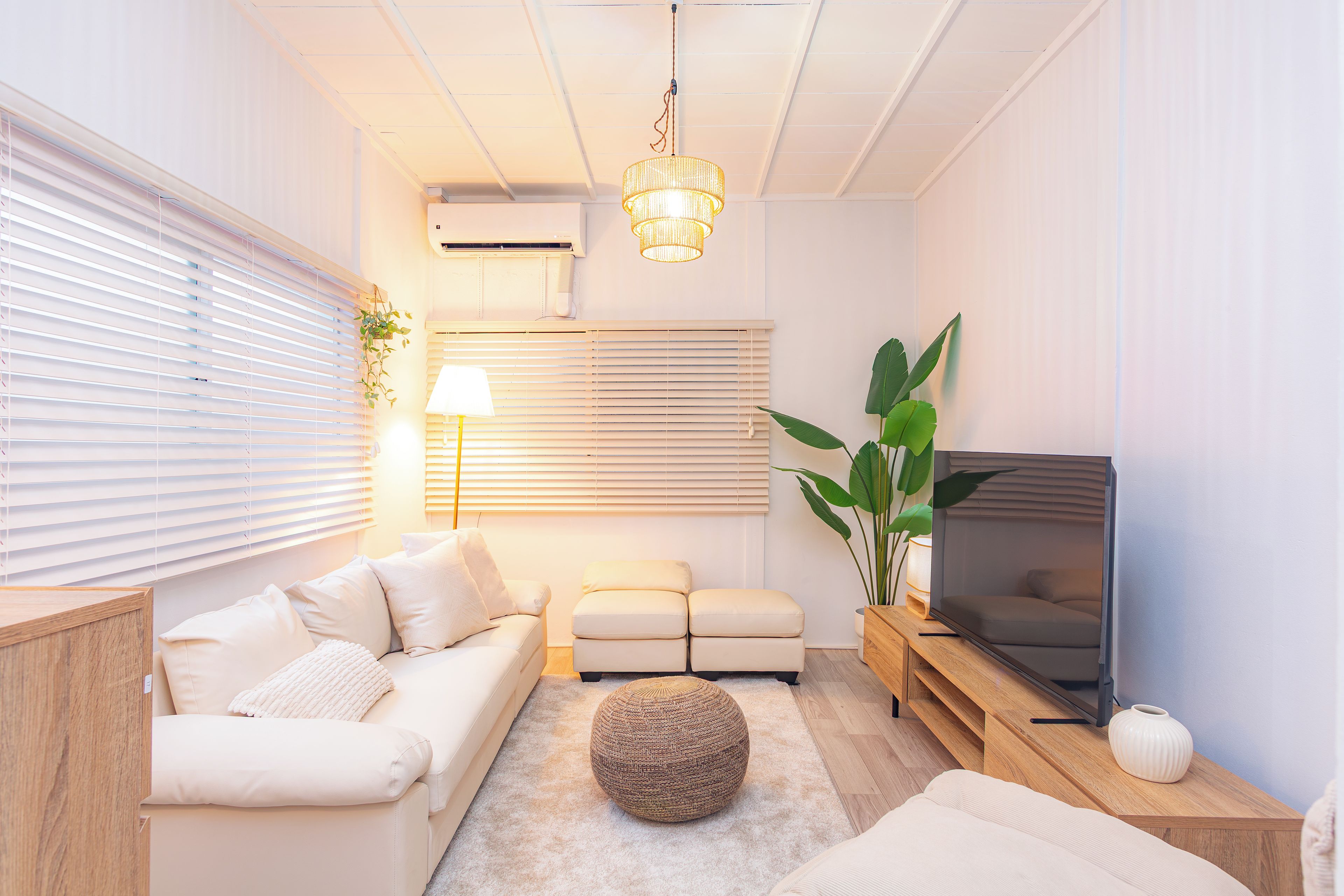 Een moderne woonkamer met een bank, een rond hockertje, een televisie en een grote plant.